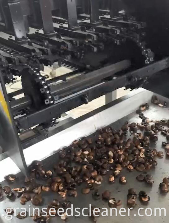 Nuts Hulling Machine